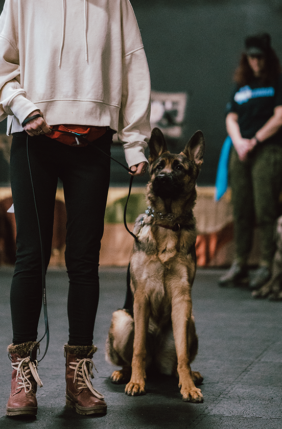 Unite Canine Training